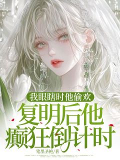 火爆我眼瞎时他偷欢，复明后他癫狂倒计时小说，主角是筱筱叶北辰在线阅读全文无删减-随缘阅读网