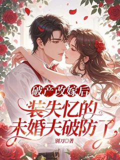 破产改嫁后，装失忆的未婚夫破防了免费阅读全文，主角许佳陆裴小说完整版最新章节