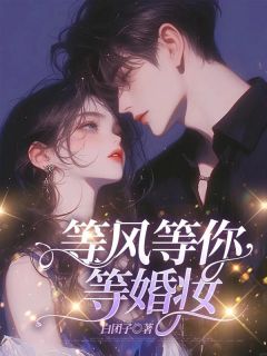 等风等你等婚妆小说全集(苏忘忧秦白夜)无弹窗广告阅读