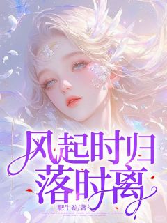 全章节小说风起时归落时离肥牛卷最新阅读