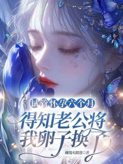 试管怀孕六个月，得知老公将我卵子换了清羽季泊淮小说全文章节阅读