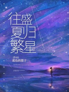 小说推荐往盛夏归繁星完结版全章节阅读