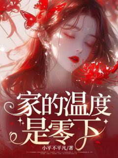 主角是刘盼刘芊芊的小说叫什么家的温度是零下免费全文阅读