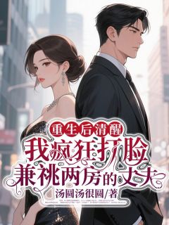 重生后清醒，我疯狂打脸兼祧两房的丈夫小说的书名是什么