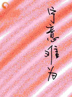 宁意难为宋一宁宋一安by辰时笙免费看
