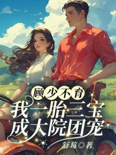 顾政南江舒棠(江舒棠顾政南)全文章节在线阅读