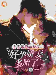 书荒必备七零嫁绝嗣硬汉，好孕娇妻多胎了全文章节阅读
