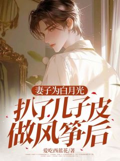 妻子为白月光把儿子做了风筝叶言泽温初年小说全文章节阅读