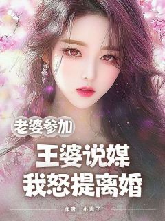 老婆参加王婆说媒，我怒提离婚小说好看吗 张龙刘兰最后结局如何