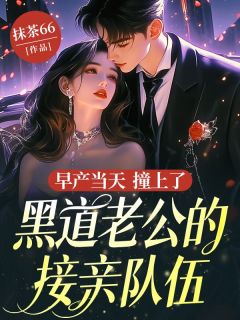 精彩小说早产当天，撞上了黑道老公的接亲队伍陆秉曲酥酥全章节在线阅读-随缘阅读网