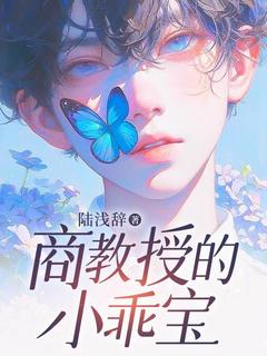 抖音小说商教授的小乖宝，主角沈司忆商衍之最后结局小说全文免费