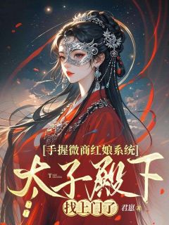 手握微商红娘系统，太子殿下找上门了孟晚词赵孤城大结局在线阅读