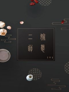 优质新书二嫁逆袭最新章节小说全文阅读