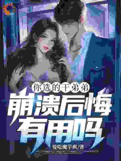 你选的干弟弟，崩溃后悔有用吗？小说的书名是什么