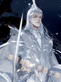 无广告小说疯狂截胡，各路主角都哭了！-洛羽叶清薇在线阅读