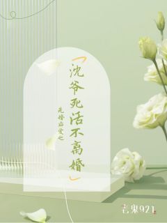 先婚后爱：沈爷死活不离婚小说(连载文)-苏墨沈宴无广告阅读