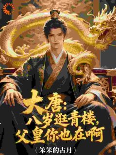 独家父皇？你怎么不上朝跑出来玩小说-主角左慈李承乾全文免费阅读