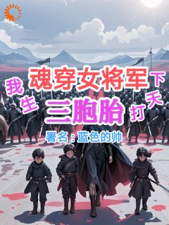 魂穿女将军，我生三胞胎打天下(蓝色的帅)最佳创作小说全文在线阅读