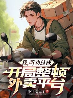 抖音小说我，听劝总裁，开局整顿外卖平台黄团苏阳暖心全文txt