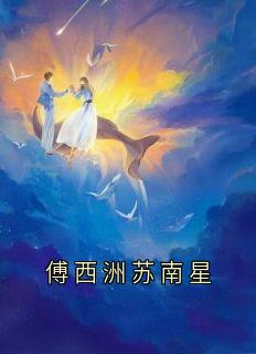 傅西洲苏南星小说_傅西洲苏南星小说结局阅读