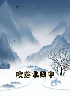 吹落北风中小说(完本)-绍宴霖舒妍林亦可顾笙萧无错版阅读