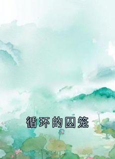 循环的囚笼小说(完结版)-顾晏慕酥叶婉在线阅读