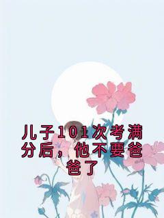 儿子101次考满分后，他不要爸爸了小说免费阅读 季宴安小北大结局完整版