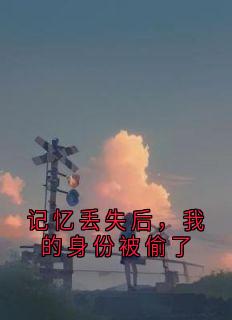 郑超沈书怡小说全文免费阅读记忆丢失后，我的身份被偷了全文免费阅读