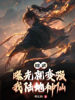 综武：曝光就变强，我陆地神仙小说(完结版)-叶枫乔峰在线阅读
