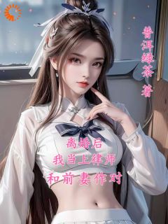 离婚后，我当上律师和前妻作对(新书)大结局在线阅读