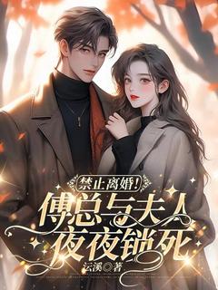 主角苏烟傅盛霆小说，禁止离婚！傅总与夫人夜夜锁死免费阅读全文