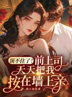 顶不住了！前上司天天把我按在墙上亲(全章节)-秦时念周霆夜在线阅读
