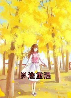殷岿沈茵茵全集小说_岁途重遇完结版阅读