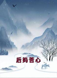 后妈苦心小说全章节目录阅读BY佚名完结版阅读-随缘阅读网