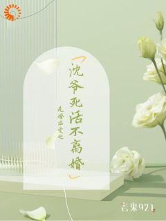 书荒推荐隐婚后，清冷总裁不干了！(沈宴苏墨)在线试读