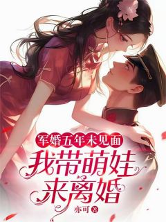 军婚五年未见面，我带萌娃来离婚无广告阅读 沈念卿陆归尘秦邦泽免费在线阅读
