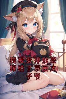 主角沈念顾琛陆舟轻小说完整版-我被安排抽签嫁给了京圈太子爷免费阅读全文