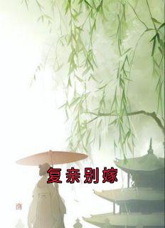 复亲别嫁by赵明窈卫澄姜少瑜昭言陆芙茵在线阅读