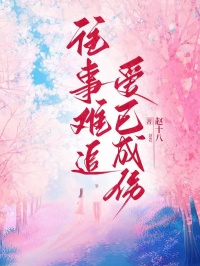 裴言澈江揽月全文阅读最新 裴言澈江揽月小说目录