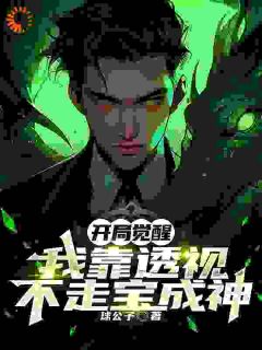 书荒推荐开局觉醒，我靠透视不走宝成神(林墨苏婉清)在线试读