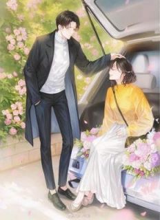老书虫力荐恨明月高悬,今不照我免费无弹窗阅读-随缘阅读网