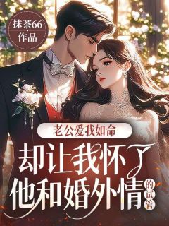 老公爱我如命，却让我怀了他和婚外情的试管by周敬孙黛阿芷在线阅读