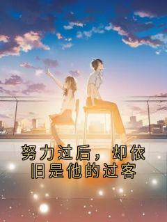 百度贴吧小说努力过后，却依旧是他的过客，主角李书渝顾承安全文免费