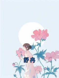小说推荐舒冉完结版全章节阅读
