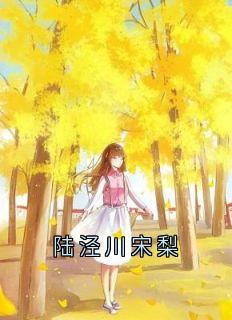 陆泾川宋梨陆泾川宋梨小说完整版