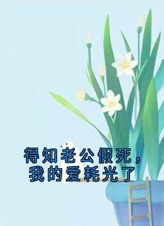 抖音热推小说得知老公假死，我的爱耗光了全文在线阅读