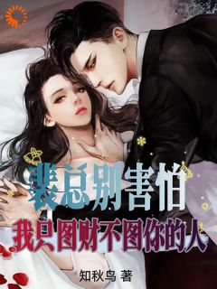 主人公裴延彻周芙萱小说替身带球入局：总裁记忆苏醒后在线全文阅读