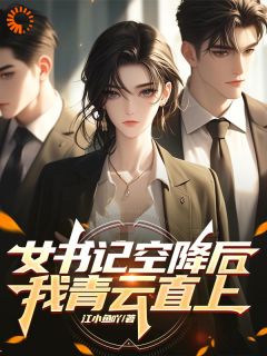 江辰洛瑶主角抖音小说女书记空降后，我青云直上在线阅读