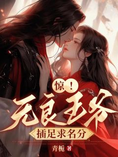 王府全员瞎眼，完美王妃都丢了是什么小说沈时鸢君九宸全本免费阅读