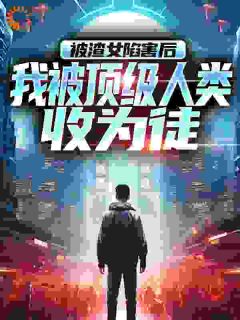 快手叶昆仑苏晴主角的小说全本章节大结局